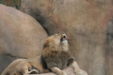 Enlarge photo 369