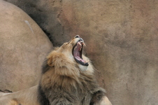 Enlarge photo 372