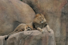 Enlarge photo 374