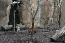 Enlarge photo 378