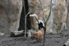 Enlarge photo 379