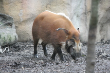 Enlarge photo 386