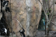 Enlarge photo 390