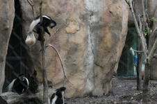 Enlarge photo 391