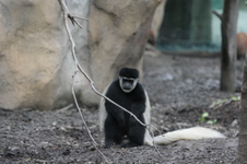 Enlarge photo 394