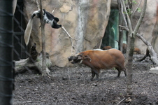 Enlarge photo 395