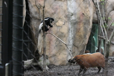 Enlarge photo 397