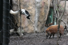 Enlarge photo 398