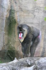 Enlarge photo 427