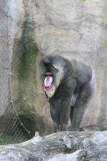 Enlarge photo 428