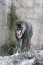Enlarge photo 430