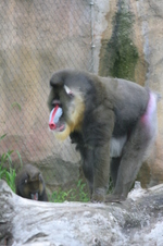 Enlarge photo 433