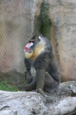 Enlarge photo 434