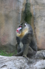 Enlarge photo 435