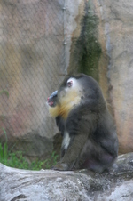 Enlarge photo 443