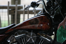 Enlarge photo 452