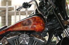 Enlarge photo 453