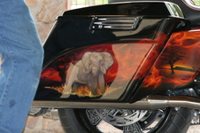 Enlarge photo 455