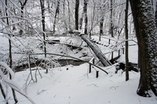 Enlarge photo 13