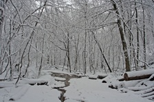 Enlarge photo 18