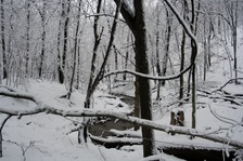 Enlarge photo 23