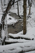 Enlarge photo 25