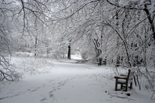 Enlarge photo 27