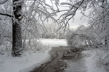 Enlarge photo 28