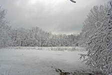 Enlarge photo 29