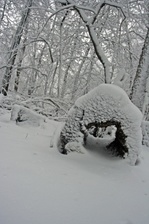 Enlarge photo 30