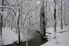Enlarge photo 31