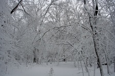 Enlarge photo 32