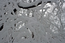 Enlarge photo 33