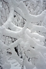 Enlarge photo 34