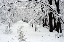 Enlarge photo 38