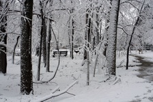 Enlarge photo 46