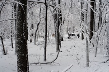 Enlarge photo 47