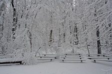 Enlarge photo 51