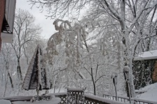Enlarge photo 53