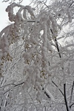 Enlarge photo 54