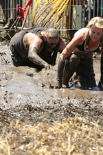 Enlarge photo 53