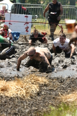 Enlarge photo 97