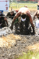 Enlarge photo 107