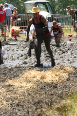 Enlarge photo 134