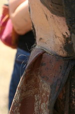 Enlarge photo 190