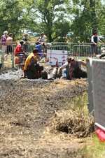 Enlarge photo 221