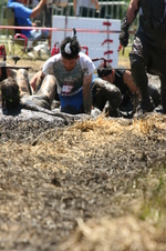 Enlarge photo 223
