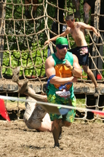 Enlarge photo 262