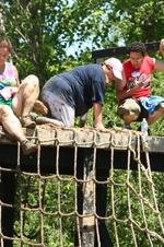 Enlarge photo 274