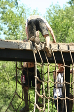 Enlarge photo 289